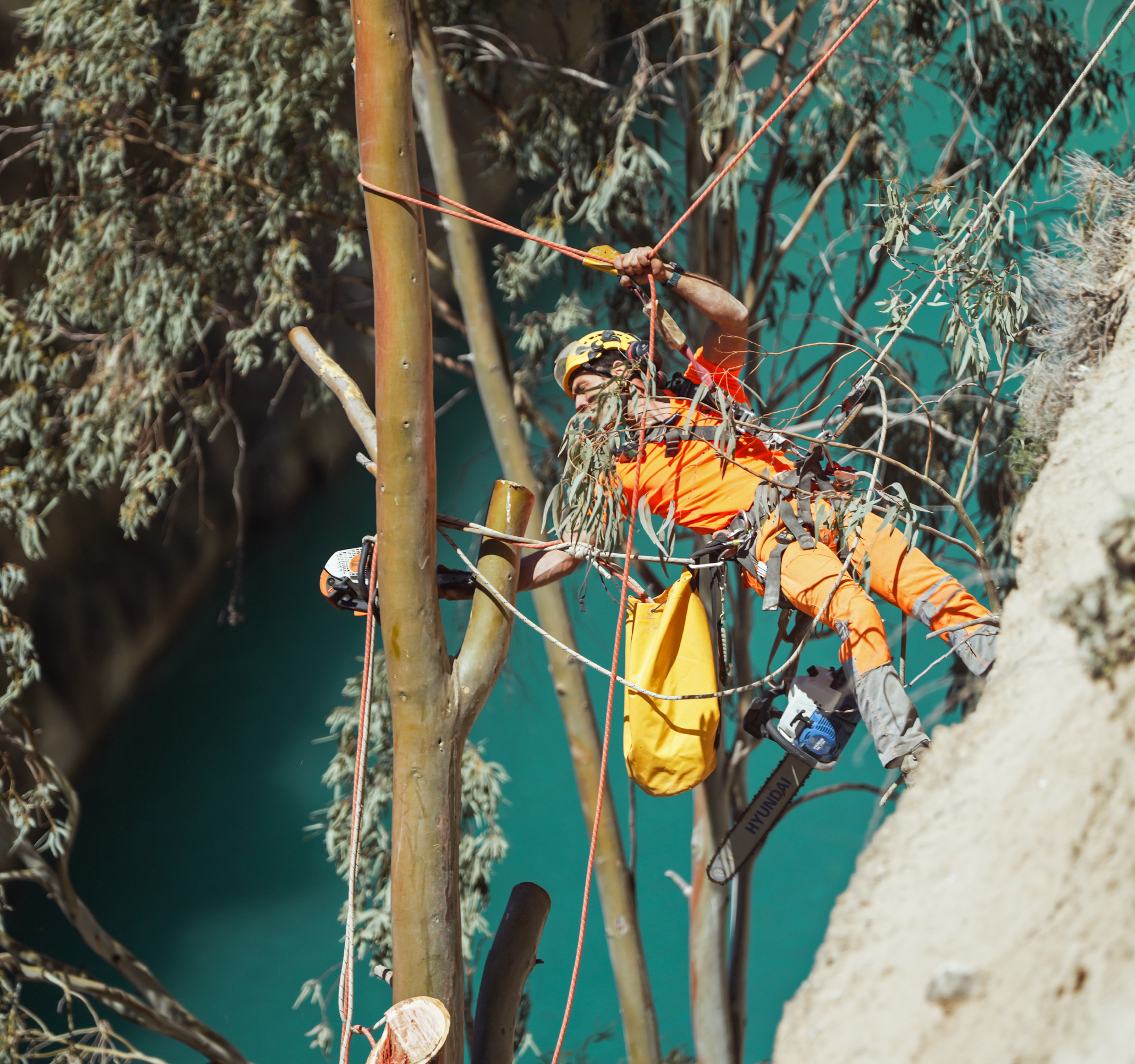 Κοπή δέντρων στα πρανή του Ισθμού